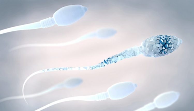 Meshkujt e vendosin çdo ditë, por pa ditur se ky produkt ua dëmton spermën