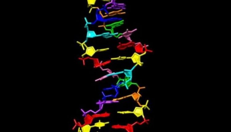 NASA zbulon formë të re të ADN-së gjatë hulumtimeve për jetë jashtë Tokës