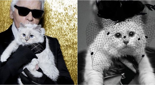 Trashëgoi të gjithë pasurinë e tij, macja e legjendës së modës “bën”deklaratën prekëse