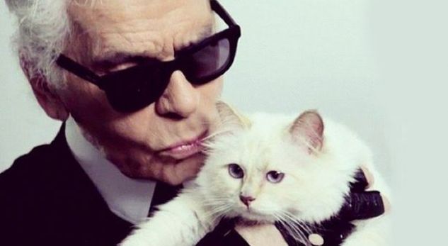 Macja e Karl Lagerfeld do të trashëgojë të gjithë pasurinë e tij