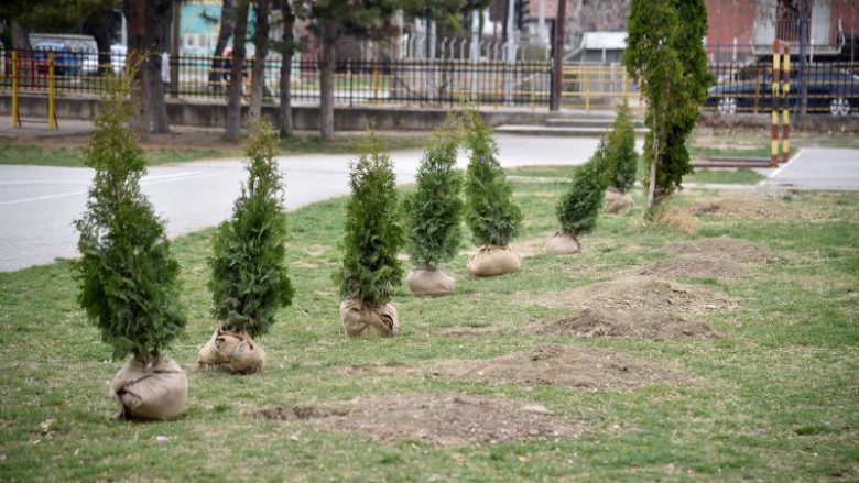 Shilegov: Këtë verë do të mbillen mbi 1.200 drunj në të gjithë komunat e Shkupit