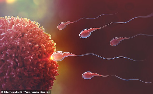 Shkencëtarët zbulojnë gjenin që ndikon në infertilitetin tek meshkujt