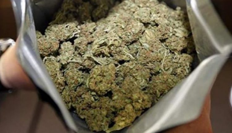 Padi penale për 44-vjeçarit nga fashti Çegran, kapet me rreth 3 kg marihuanë