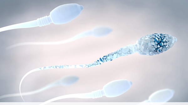 Meshkujt e vendosin çdo ditë, por pa ditur se ky produkt ua dëmton spermën