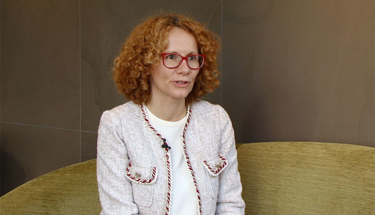 Shekerinska: NATO rekomandon që ushtrinë ta mirëmbajnë agjencitë private