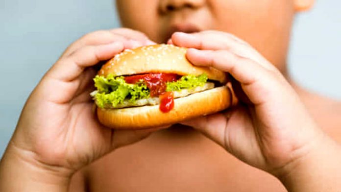 Obezët konsumojnë 140 miliardë tonë ushqime