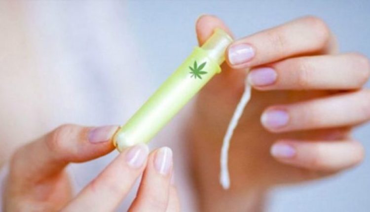 Shpëtimi i të gjitha vajzave nga dhimbjet e periodave, vjen tamponi me marijuanë