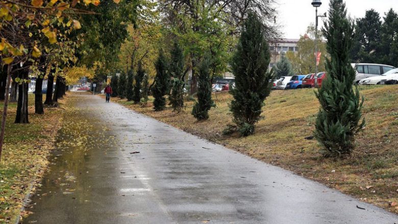 Mbi shtatë mijë fidanë të rinj gjelbërojnë Shkupin