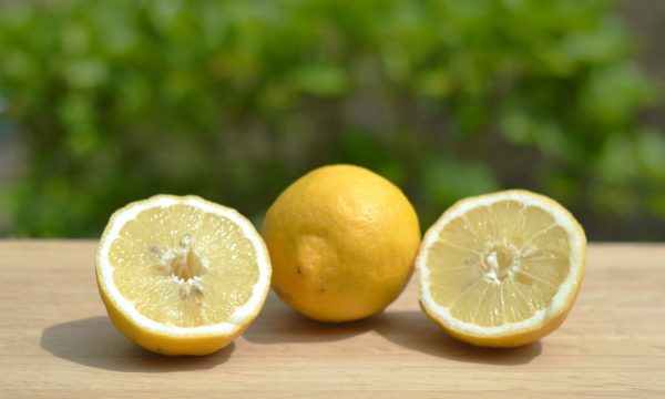 Shëroni dhimbjet e forta të kokës me farat e limonit