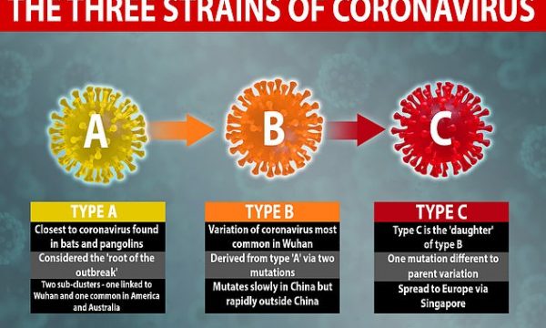 Studimi i Universitetit të Cambridge: Koronavirusi shpërtheu në shtator të 2019-ës, janë tre lloje