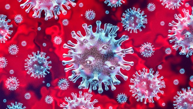 Pandemia e koronavirusit në botë nuk dobësohet