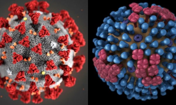 Covid-19 është 25 herë me vdekjeprurës se gripi i zakonshëm