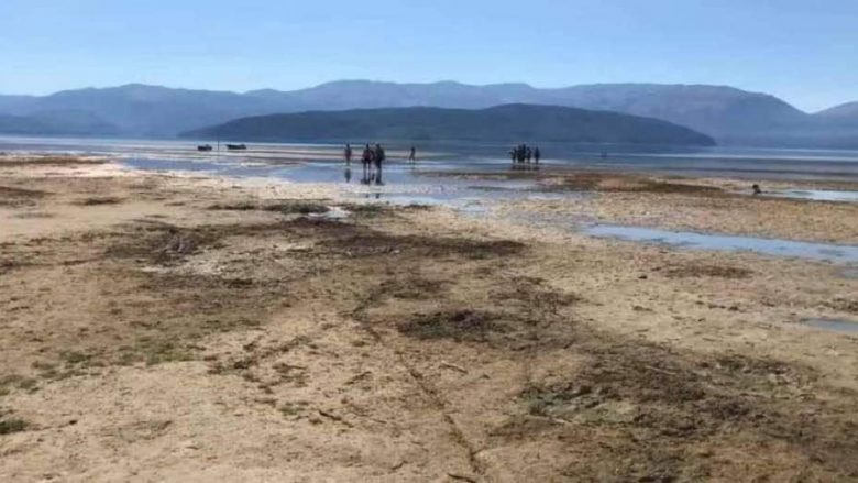 BE organizon pastrimin e plazhit të Liqenit të Prespës