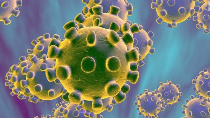 Shkencëtarët në Japoni zbulojnë një lloj të ri koronavirusi, ja ku gjendet