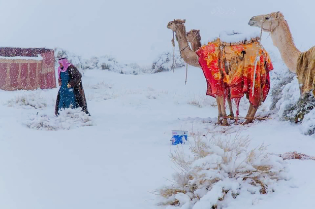 Dëborë në shkretëtirën e Saharasë dhe në Arabinë Saudite