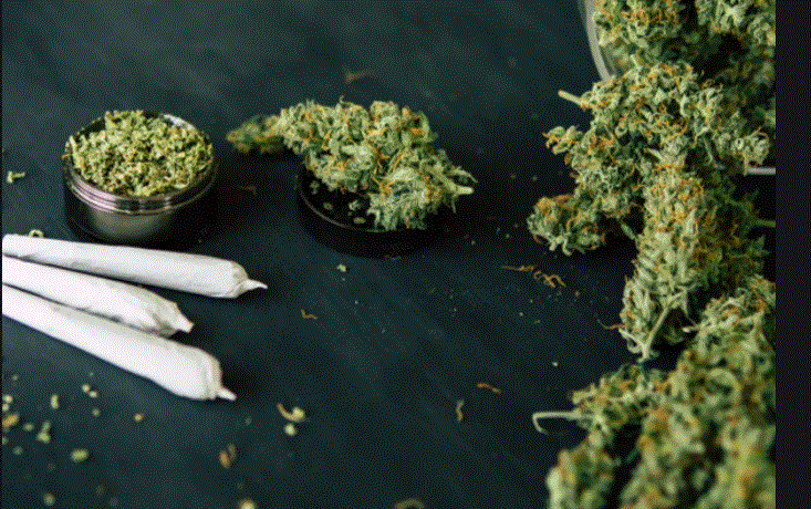 Arrestohen dy persona, konfiskohet një sasi e marijuhanës