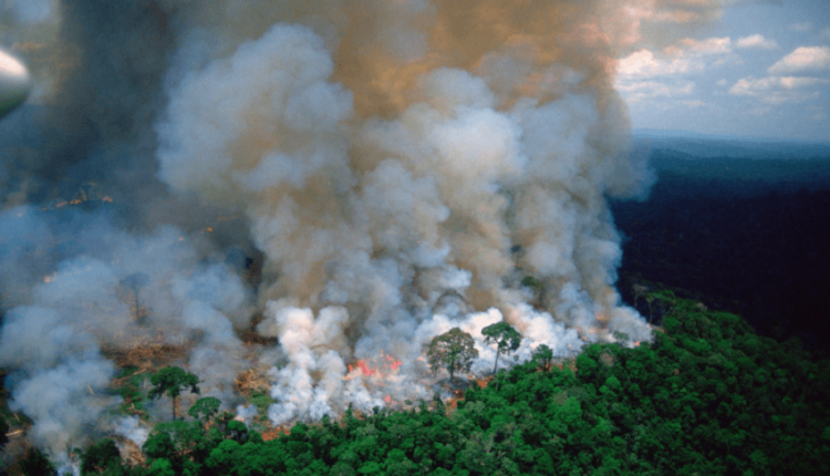 ‘Mushkëria e Tokës’ sërish nën flakë, zjarret masive djegin mijëra pemë në Amazonë