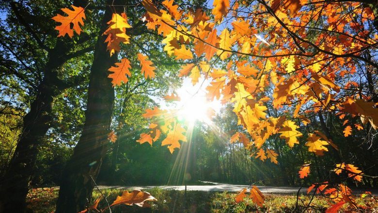 Në Maqedoni vijon periudhë me mot stabil dhe rritje të temperaturave