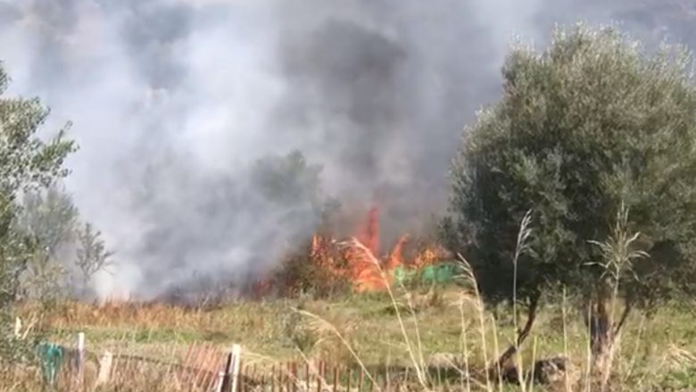 Maqedoni: 140 zjarre në muajin mars, njeriu faktori kryesor