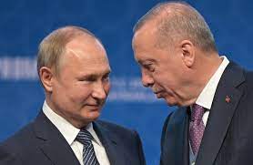 Në pritje të takimit Putin-Erdogan, Rusia publikon statistikat, hedh poshtë akuzat se po bllokon qëllimisht eksportin e grurit ukrainas