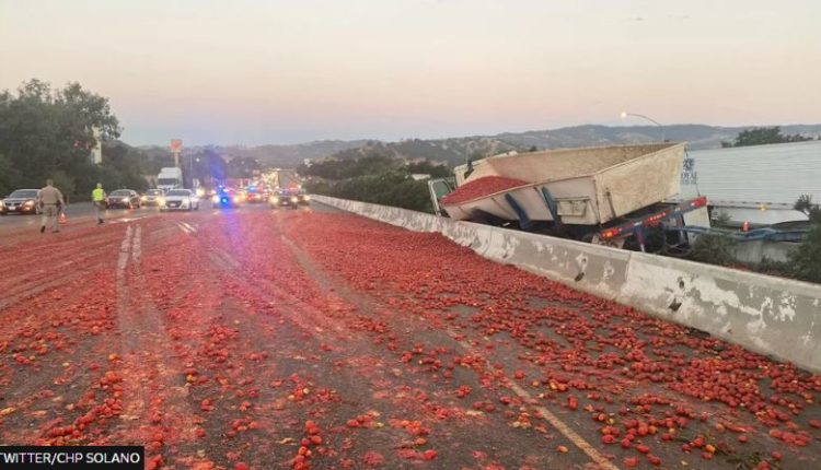 Rrëzohen mbi 150 mijë domate në autostradën kryesore të Kalifornisë