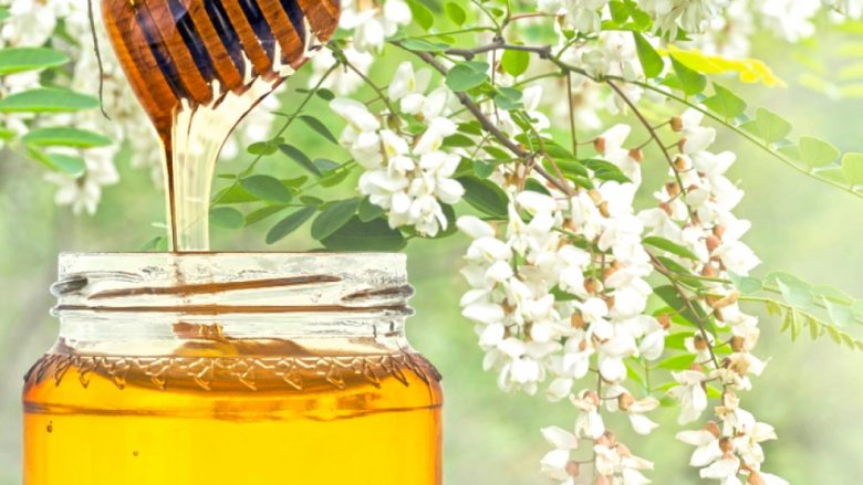 Rritet çmimi i mjaltit në Maqedoni, bletarët arsyetohen me shpenzimet e larta