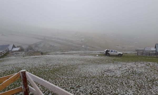 Bie bora e parë në bjeshkët e Kosovës